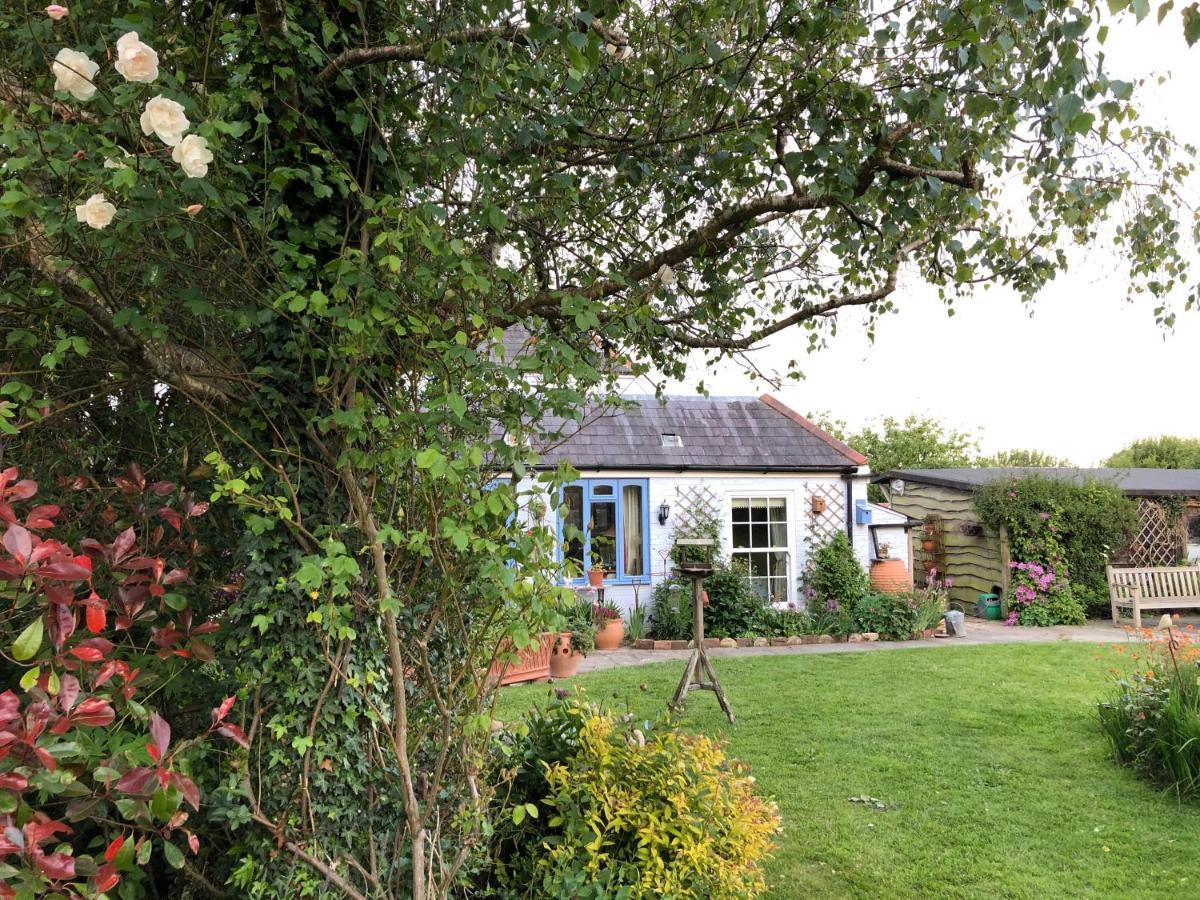 Cosy Cottage Ground Floor Bedroom Ensuite With Private Entrance 치체스터 외부 사진